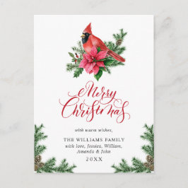Cartão Postal Feriado de Boinsettia Red Cardinal