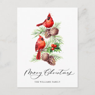 Cartão Postal Feriado de Natal da Cardeal Vermelha Holly Berry