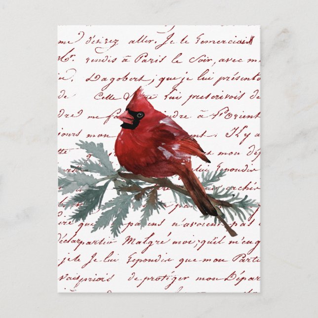 Cartão Postal Feriado Natal Red Cardinho Bird Script Francês (Frente)