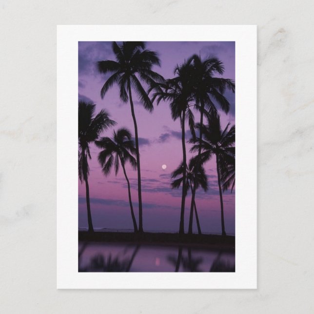 Cartão Postal Férias! (Frente)