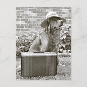 Cartão Postal Férias