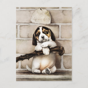 Cartão Postal Férias Felizes