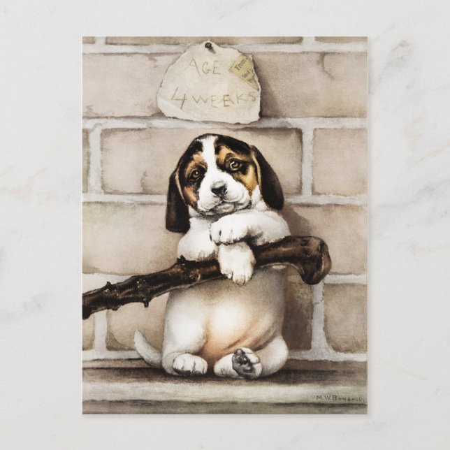 Cartão Postal Férias Felizes (Frente)