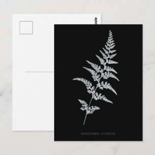 Cartão Postal Fern - Gymnogramma Sulphureia - Efeito de raios X 