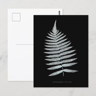 Cartão Postal Fern - Gymnogramma Villosa - Efeito de raios X - 0