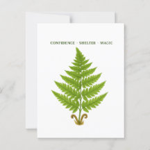 Fern Significando