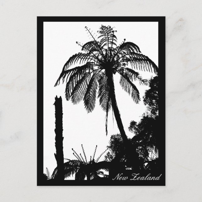 Cartão Postal Fern Tree Forest, Silver Fern, Natureza Nova Zelân (Frente)