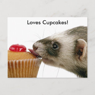 Cartão Postal Ferret Love Cupcakes