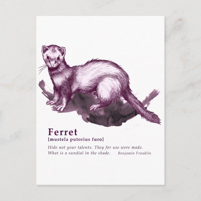 Cartão Postal Ferret - vinho (Frente)