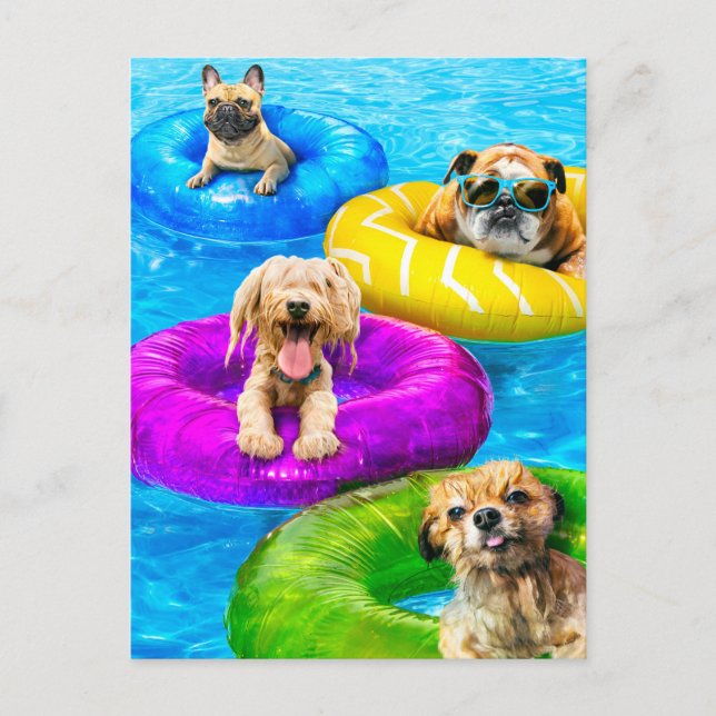 Cartão Postal Festa da Piscina dos Cachorros (Frente)