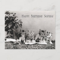Festa de Aniversário de Gato Engraçado e Antigo Pi