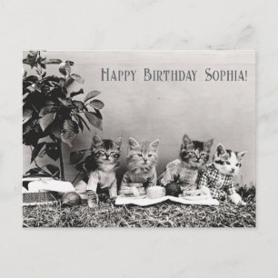 Cartão Postal Festa de Aniversário de Gato Engraçado e Antigo Pi