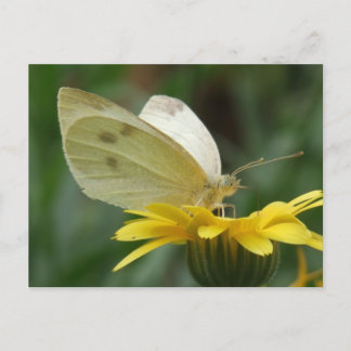 Cartão Postal Festa de calendário!