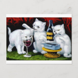 Cartão Postal Festa de Gato Vintage Engraçado com Vinho e Sardi
