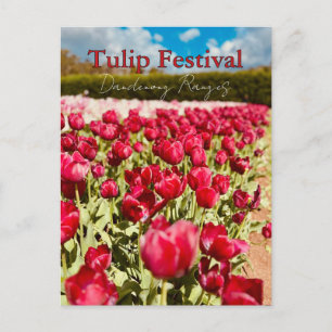 Cartão Postal Festival de Tulipas, Dandenong Ranges, Victoria