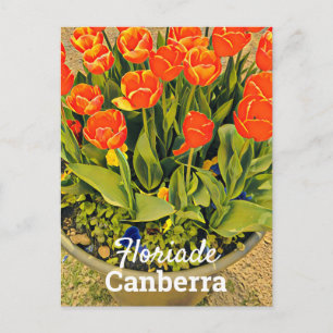 Cartão Postal Festival de tulipas de flor Floriade Canberra Aust