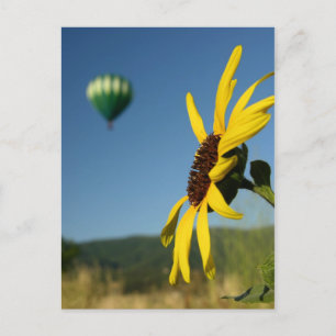 Cartão Postal Festival do Balão