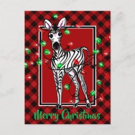 Cartão Postal Festivo Foliday Zebra Holly era xadrez vermelha