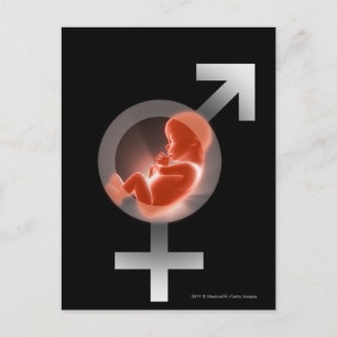Cartão Postal Feto sobreposto sobre símbolos masculino e feminin