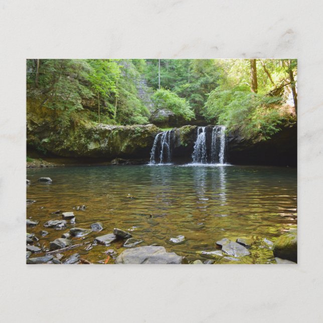 Cartão postal Fiery Gizzard Trail Tennessee (Frente)