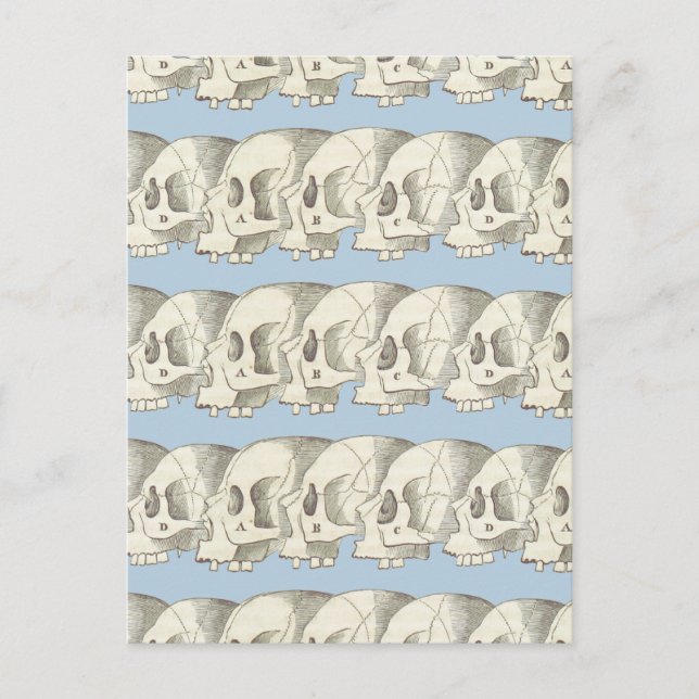 Cartão Postal Fila de crânios (Frente)