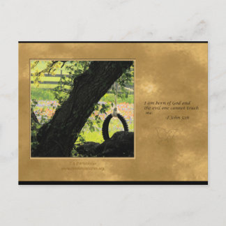 Cartão Postal Filho de Deus