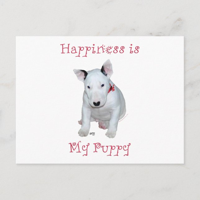 Cartão Postal Filhote de Bull Terrier (Frente)