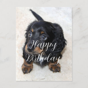 Cartão Postal Filhote de cachorro Dachshund preto fofo aniversár