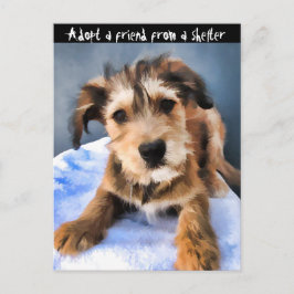 Cartão Postal Filhote de cachorro macio 3855