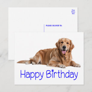 Cartão Postal Filhote de cachorro Retriever Dourado Fofo Anivers