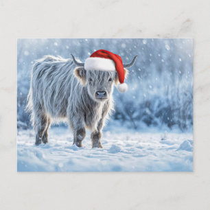 Cartão Postal Filhote de Highland em Férias na Neve Fofo