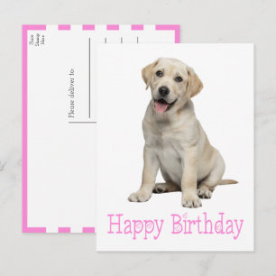 Cartão Postal Filhote de Labrador Retriever Amarelo Fofo - Anive
