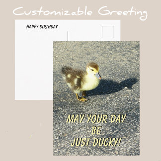 Cartão Postal Filhote de Pato Fofo Feliz Aniversário Fotografia