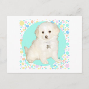 Cartão Postal Filhote de Poodle / Bichon Mix Celebra a Vida