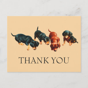 Cartão Postal Filhotes curiosos de Dachshund Cães Wiener Vintage