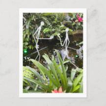 Filtros 2 do Orchid Room | Conservatório Phipps