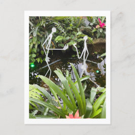 Cartão Postal Filtros 2 do Orchid Room | Conservatório Phipps