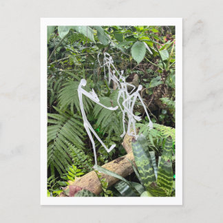 Cartão Postal Filtros do Orchid Room 3 | Conservatório Phipps