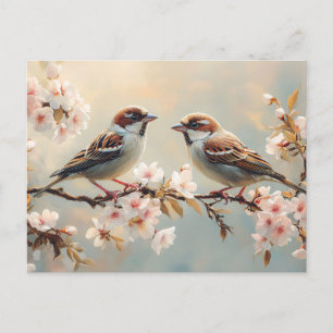 Cartão Postal Finch Birds em um Ramal do Flor de Cereja