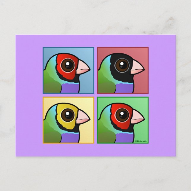 Cartão Postal Finch Gouldian de Quatro Cores (Frente)