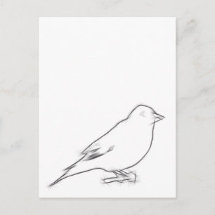 Cartão Postal Finch Sketch