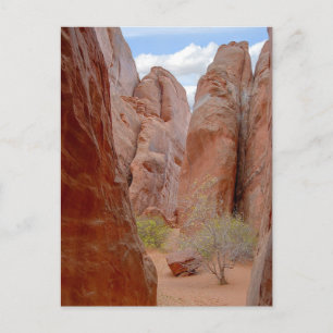 Cartão Postal Fins, Arches National Park, Utah, Cartão-postal