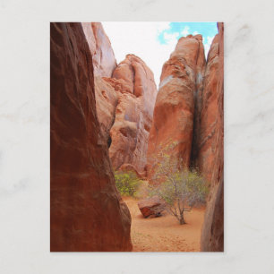 Cartão Postal Fins, Arches National Park, Utah, Cartão-postal