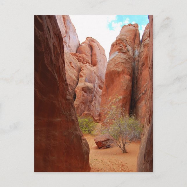 Cartão Postal Fins, Arches National Park, Utah, Cartão-postal (Frente)
