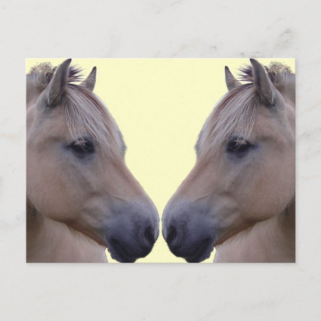 Cartão Postal Fiorde norueguês (Frente)