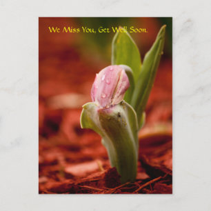 Cartão Postal Fique Bem Em Breve