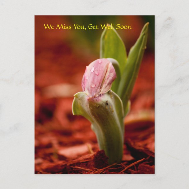 Cartão Postal Fique Bem Em Breve (Frente)