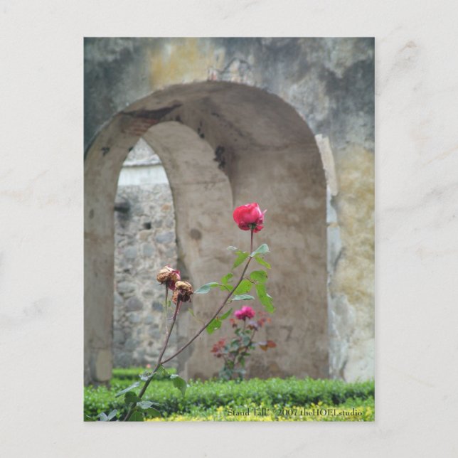 Cartão Postal Fique Erguido (Frente)