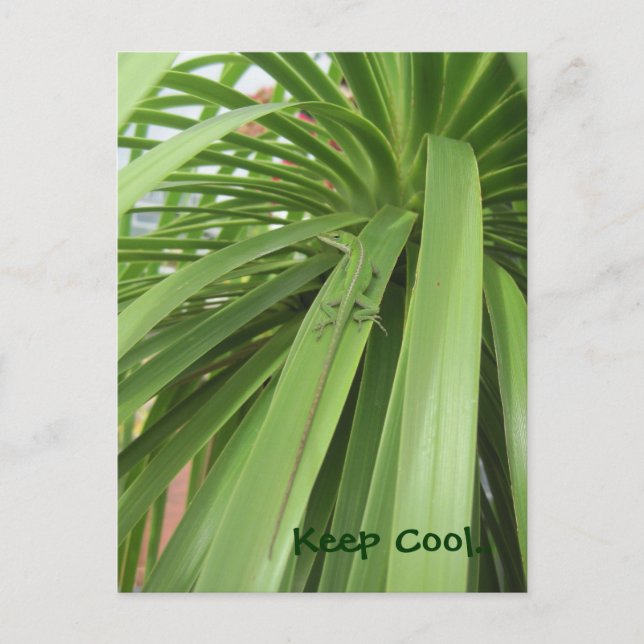 Cartão Postal Fique Legal. (Frente)