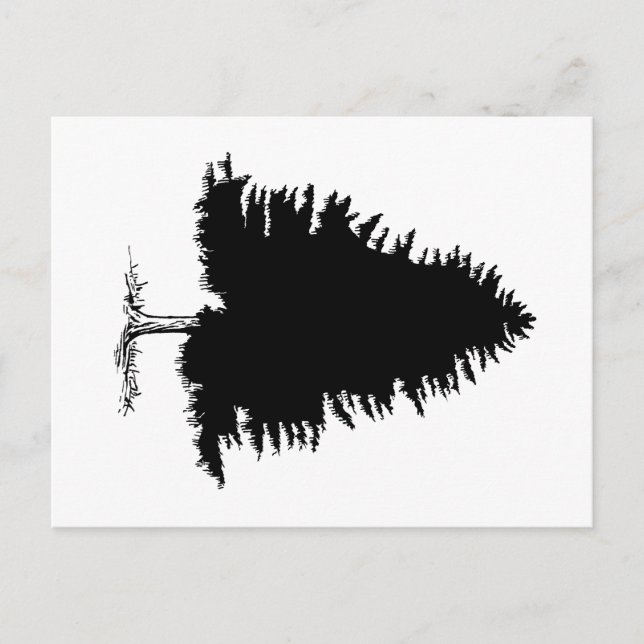 Cartão Postal Fir Tree (Frente)
